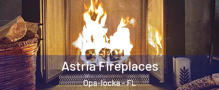  Astria Fireplaces Opa-locka - FL