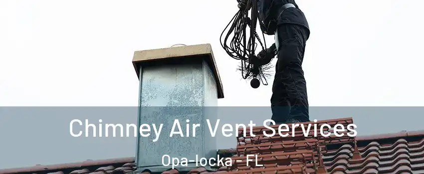  Chimney Air Vent Services Opa-locka - FL