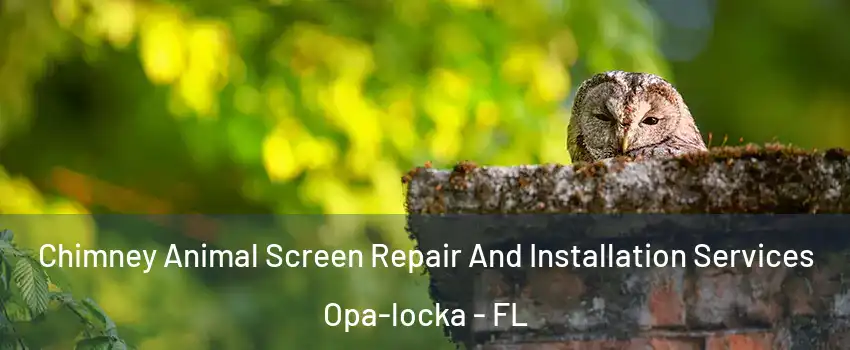 Chimney Animal Screen Repair And Installation Services Opa-locka - FL