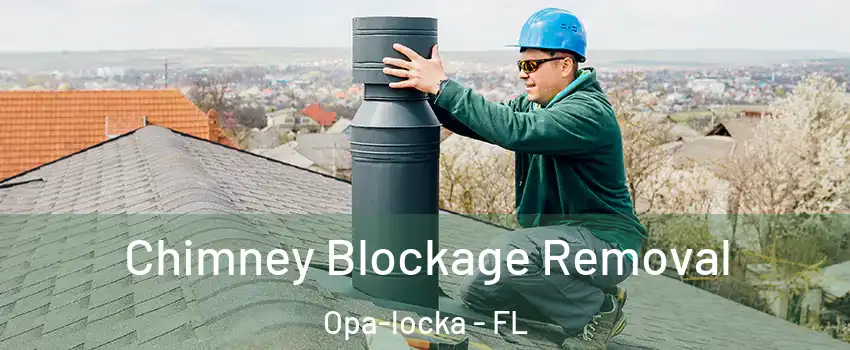  Chimney Blockage Removal Opa-locka - FL