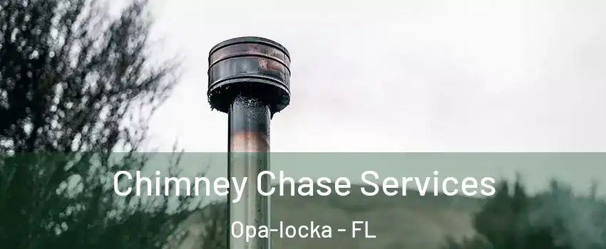  Chimney Chase Services Opa-locka - FL