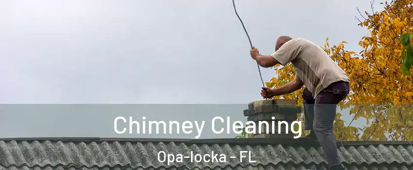  Chimney Cleaning Opa-locka - FL