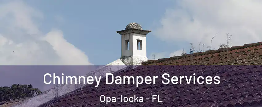  Chimney Damper Services Opa-locka - FL
