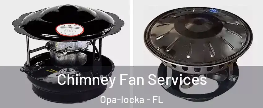  Chimney Fan Services Opa-locka - FL