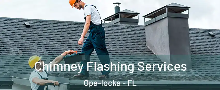  Chimney Flashing Services Opa-locka - FL