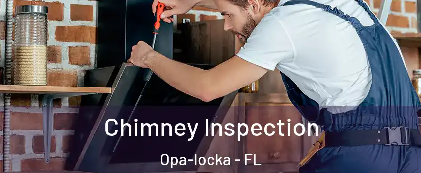  Chimney Inspection Opa-locka - FL