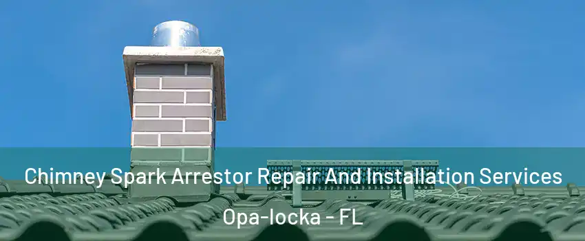  Chimney Spark Arrestor Repair And Installation Services Opa-locka - FL