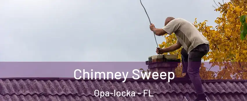  Chimney Sweep Opa-locka - FL