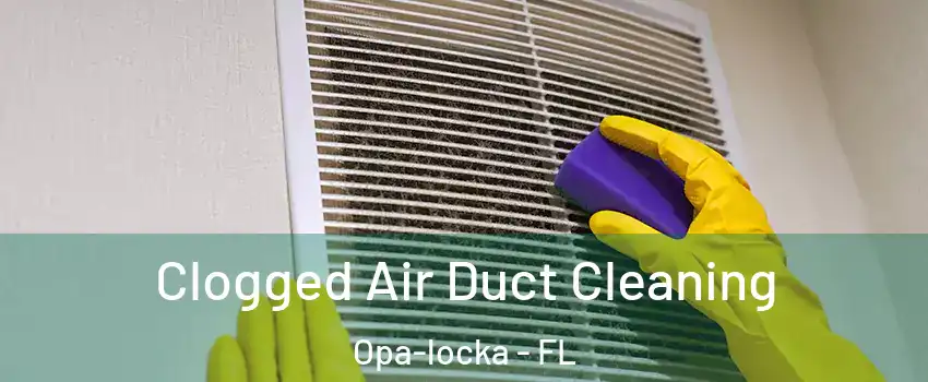  Clogged Air Duct Cleaning Opa-locka - FL