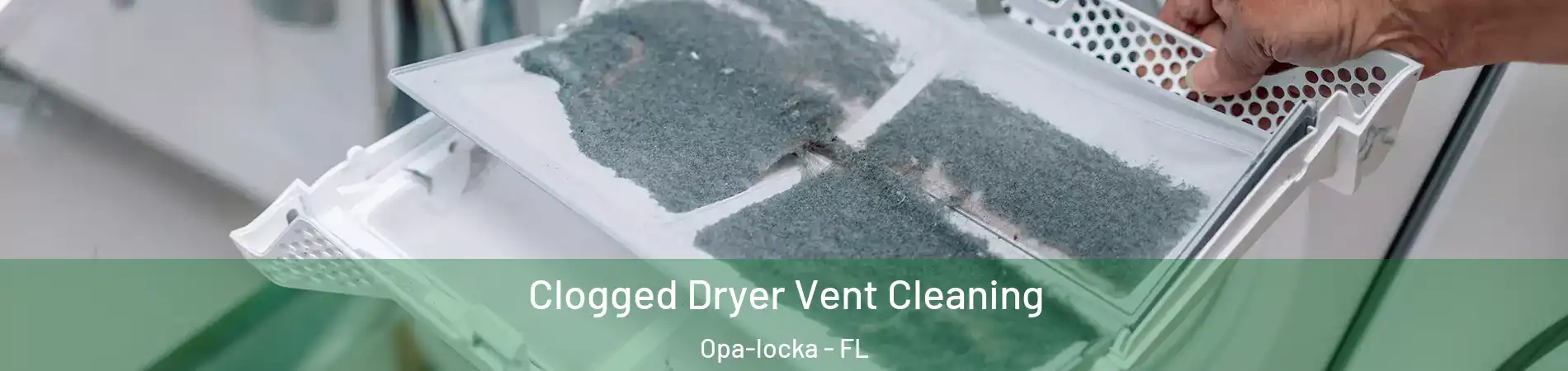  Clogged Dryer Vent Cleaning Opa-locka - FL