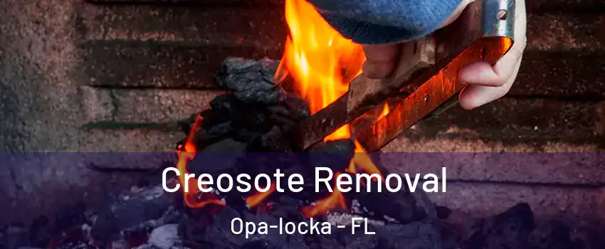  Creosote Removal Opa-locka - FL