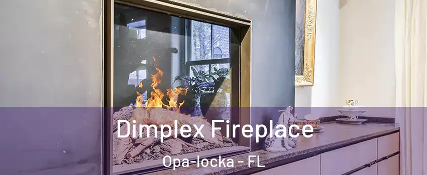  Dimplex Fireplace Opa-locka - FL