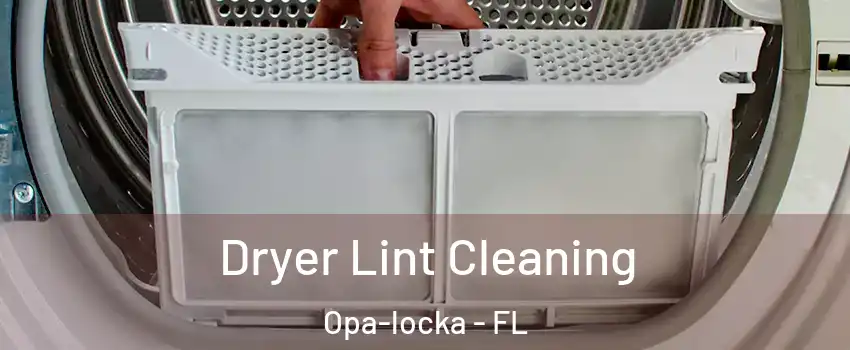  Dryer Lint Cleaning Opa-locka - FL
