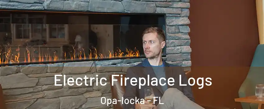 Electric Fireplace Logs Opa-locka - FL