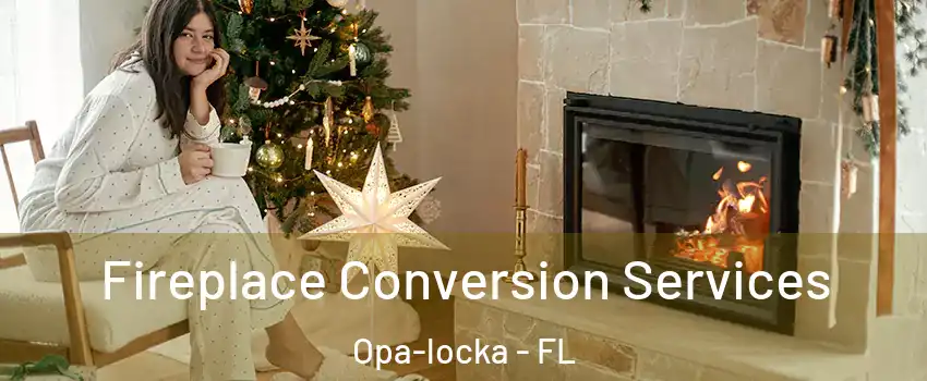  Fireplace Conversion Services Opa-locka - FL