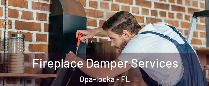  Fireplace Damper Services Opa-locka - FL