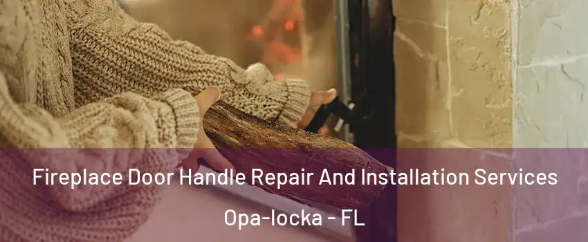  Fireplace Door Handle Repair And Installation Services Opa-locka - FL