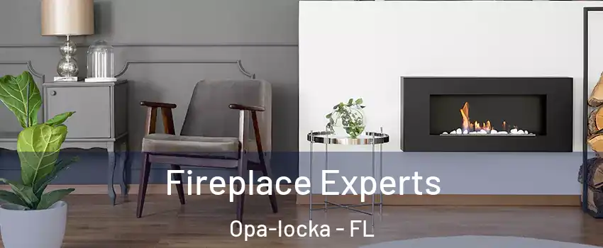  Fireplace Experts Opa-locka - FL