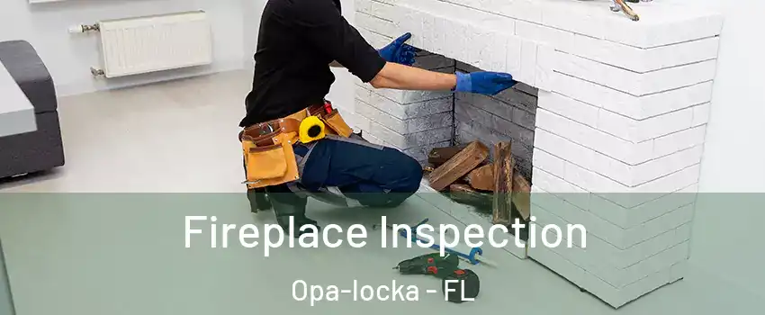  Fireplace Inspection Opa-locka - FL