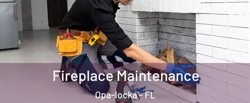  Fireplace Maintenance Opa-locka - FL