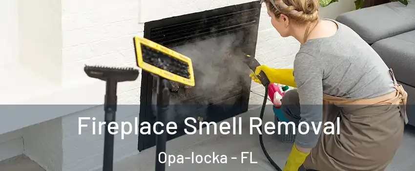  Fireplace Smell Removal Opa-locka - FL