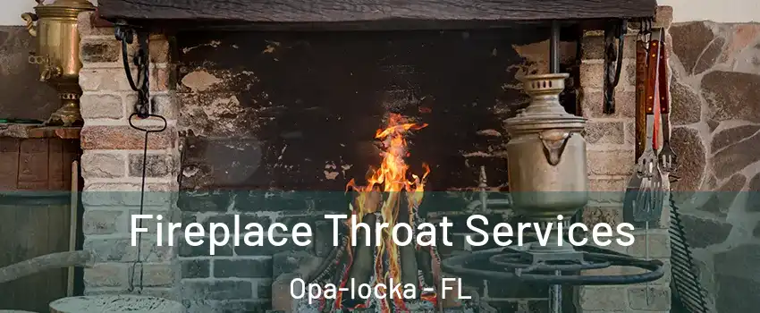  Fireplace Throat Services Opa-locka - FL