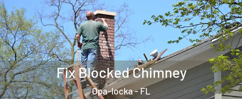  Fix Blocked Chimney Opa-locka - FL