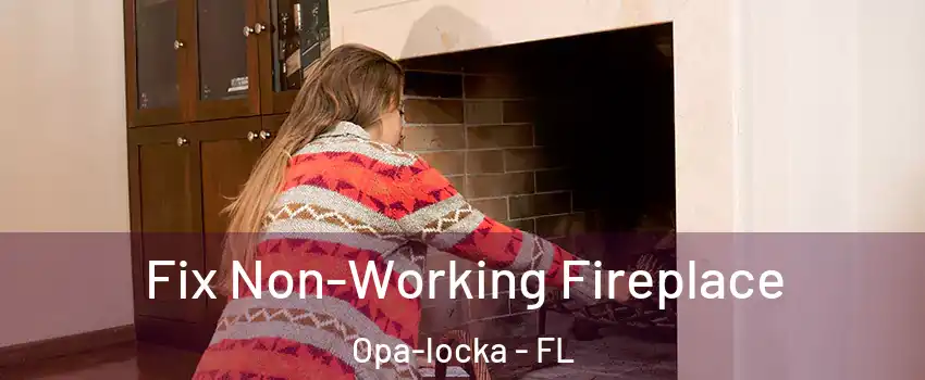  Fix Non-Working Fireplace Opa-locka - FL