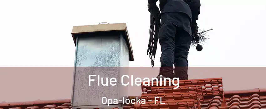  Flue Cleaning Opa-locka - FL