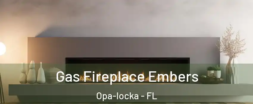  Gas Fireplace Embers Opa-locka - FL