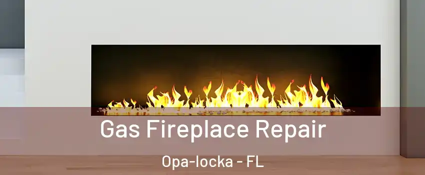  Gas Fireplace Repair Opa-locka - FL