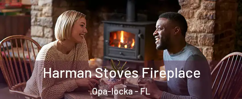  Harman Stoves Fireplace Opa-locka - FL