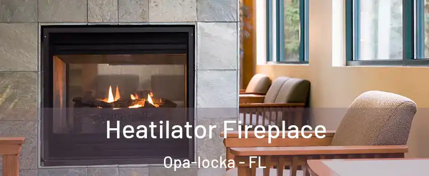  Heatilator Fireplace Opa-locka - FL