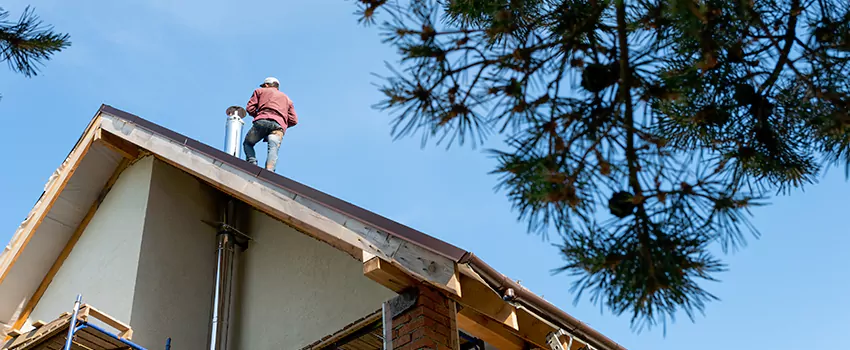 Birds Removal Contractors from Chimney in Opa-locka, FL