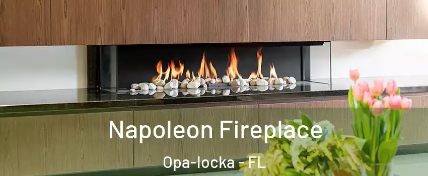  Napoleon Fireplace Opa-locka - FL