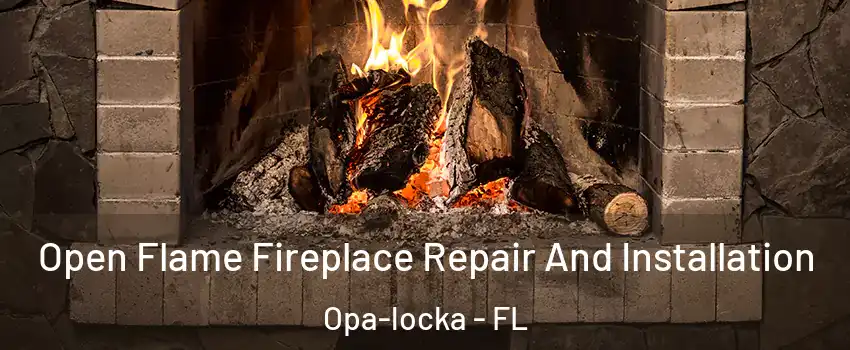  Open Flame Fireplace Repair And Installation Opa-locka - FL