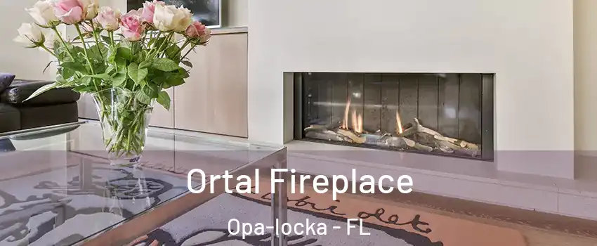  Ortal Fireplace Opa-locka - FL