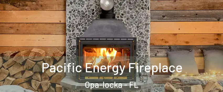 Pacific Energy Fireplace Opa-locka - FL