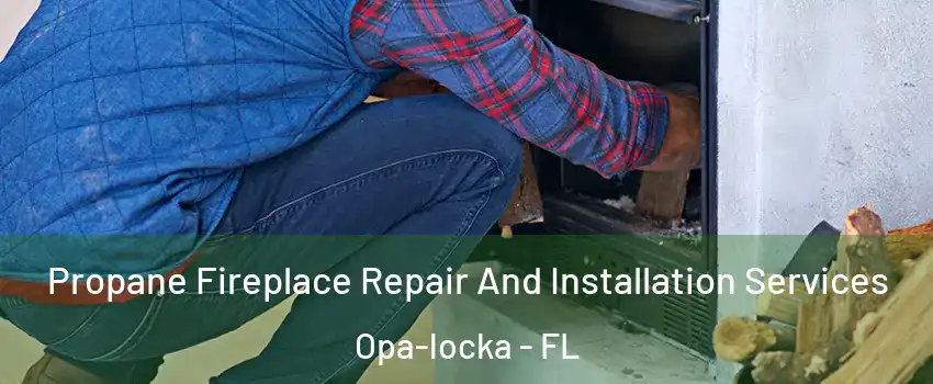  Propane Fireplace Repair And Installation Services Opa-locka - FL