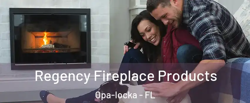  Regency Fireplace Products Opa-locka - FL