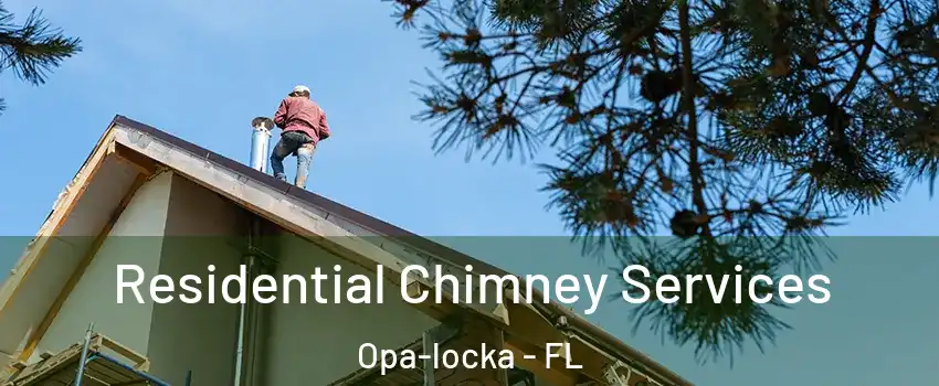  Residential Chimney Services Opa-locka - FL