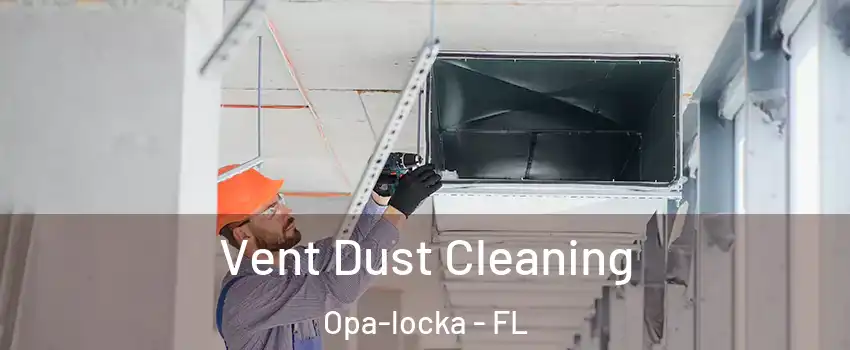  Vent Dust Cleaning Opa-locka - FL