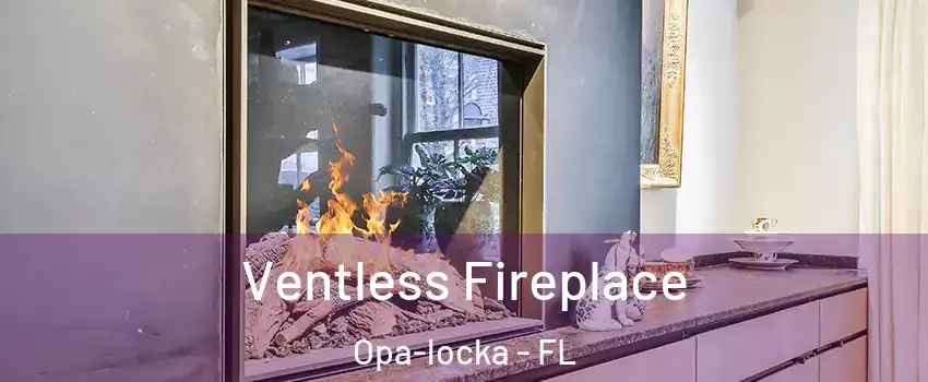  Ventless Fireplace Opa-locka - FL